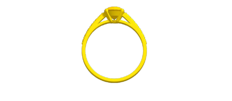 Ring View